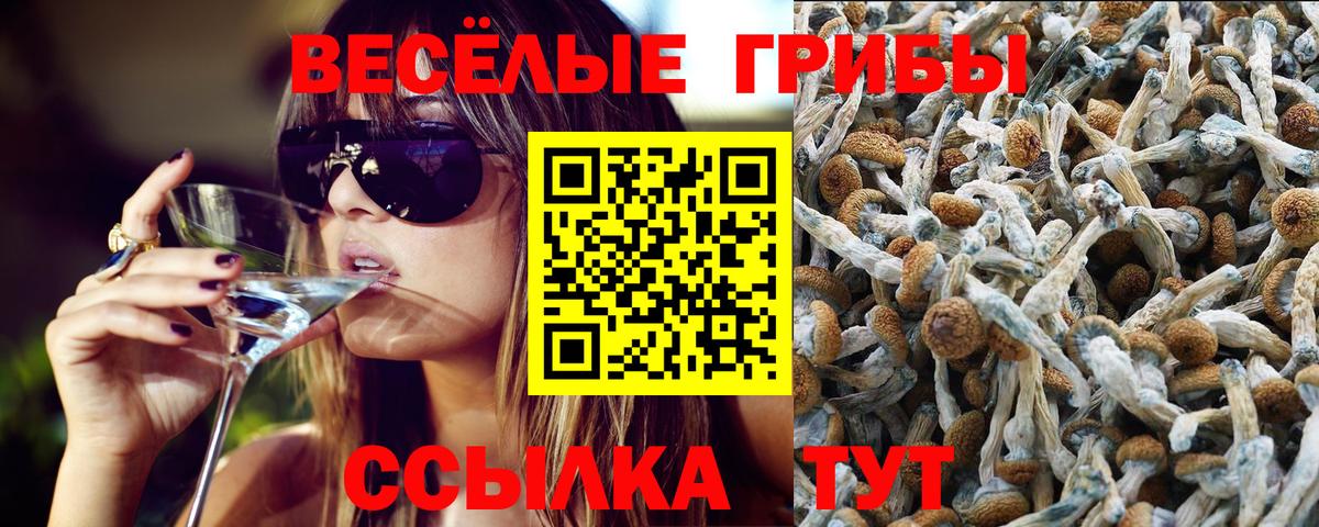 Галлюциногенные грибы MAGIC MUSHROOMS Кинель
