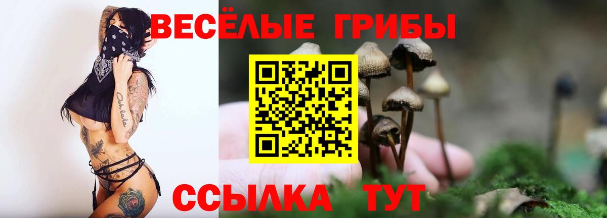 Галлюциногенные грибы GOLDEN TEACHER  Вход с VPN  где продают   Галлюциногенные грибы MAGIC MUSHROOMS  Кинель 